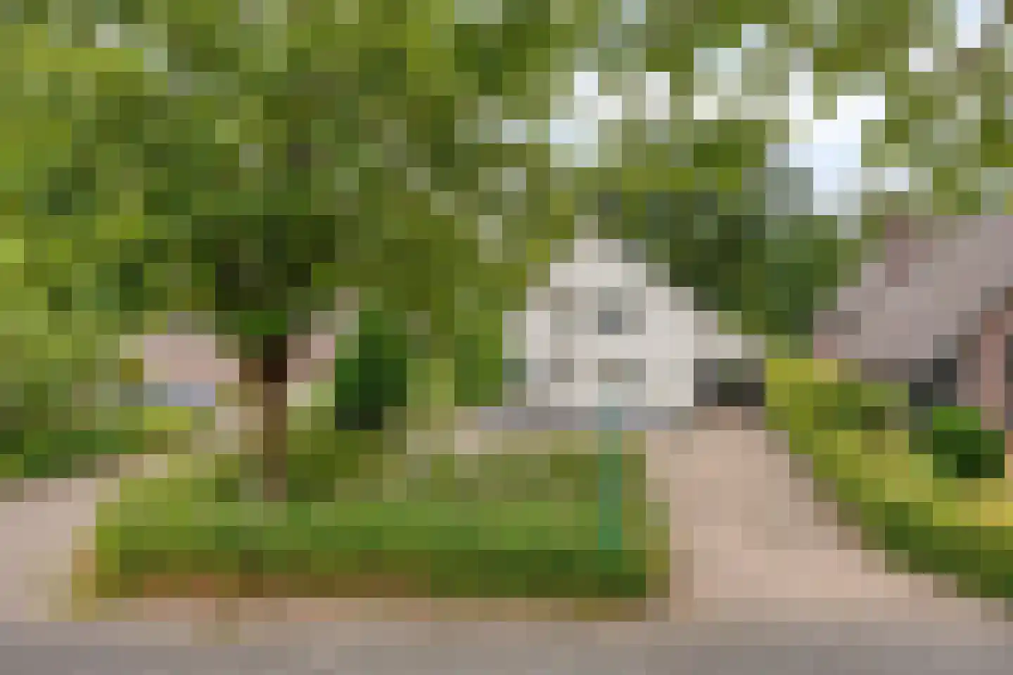 Broekelingstraat 16 Aarle-Rixtel thumbnail 8