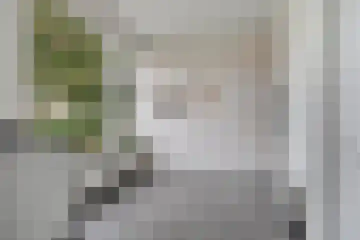Broekemalaan 12 Wageningen thumbnail 15