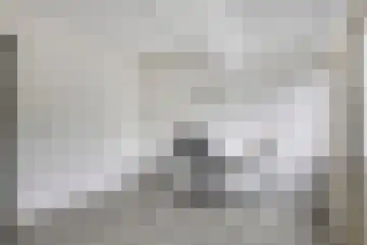 Broekemalaan 12 Wageningen thumbnail 17