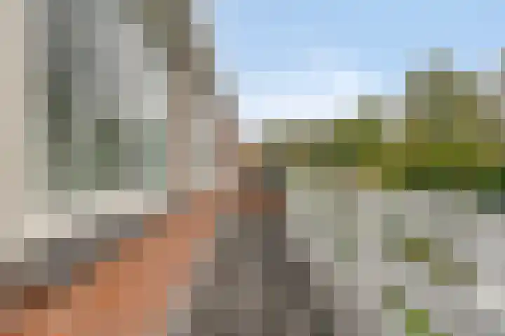 Broekemalaan 12 Wageningen thumbnail 33