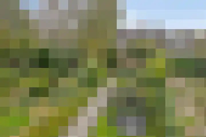 Broekemalaan 12 Wageningen thumbnail 34