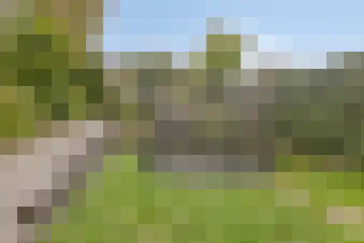Broekemalaan 12 Wageningen thumbnail 38