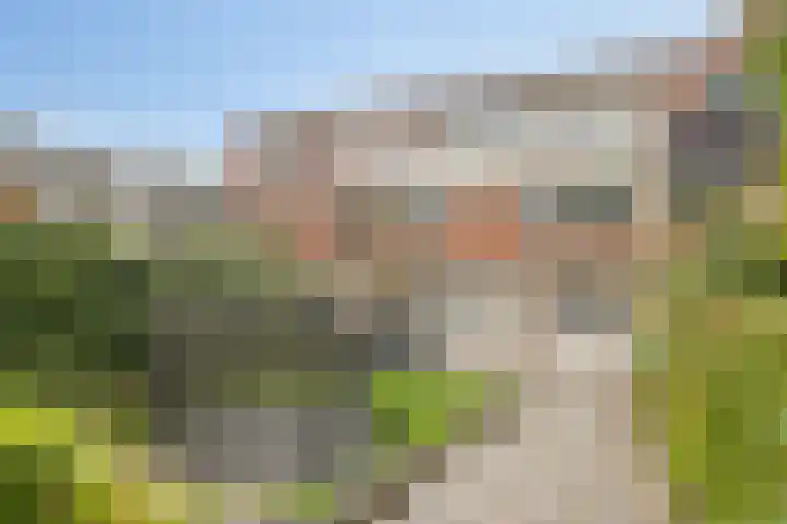 Broekemalaan 12 Wageningen thumbnail 39