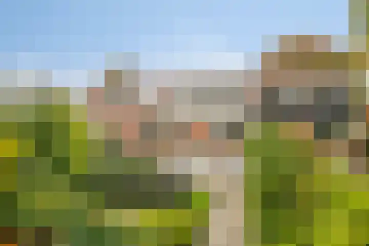 Broekemalaan 12 Wageningen thumbnail 4