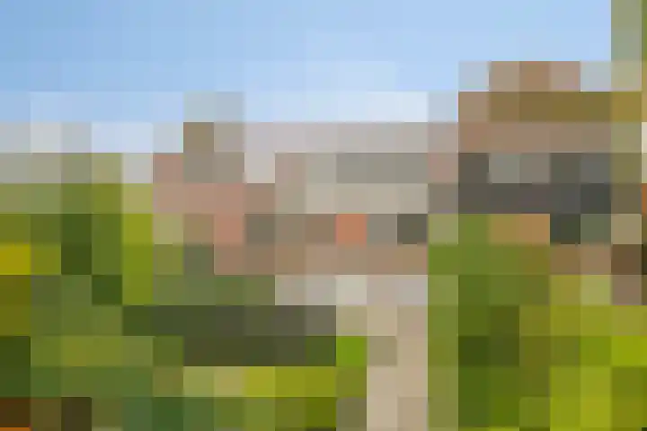 Broekemalaan 12 Wageningen thumbnail 40