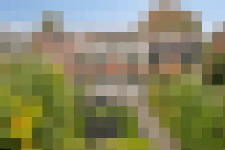 Broekemalaan 12 Wageningen thumbnail 41