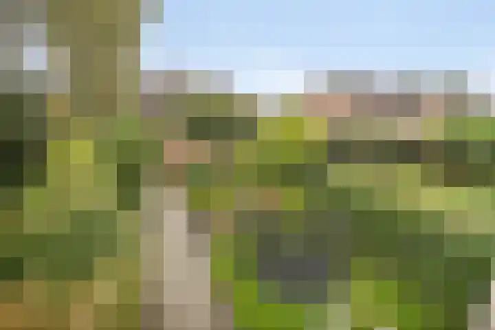 Broekemalaan 12 Wageningen thumbnail 42