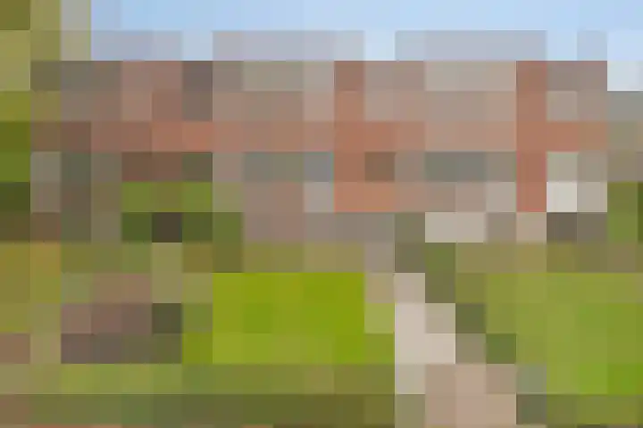 Broekemalaan 12 Wageningen thumbnail 44