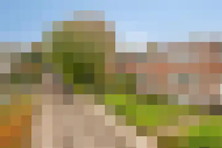 Broekemalaan 12 Wageningen thumbnail 45