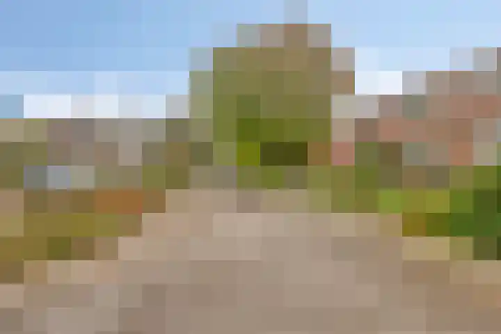 Broekemalaan 12 Wageningen thumbnail 46
