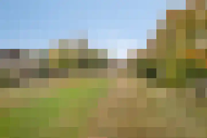 Broekemalaan 12 Wageningen thumbnail 47
