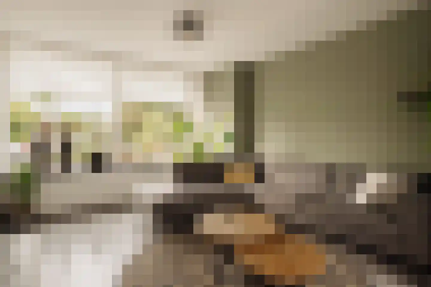 Broekemastraat 21 Nieuw-Vennep thumbnail 5