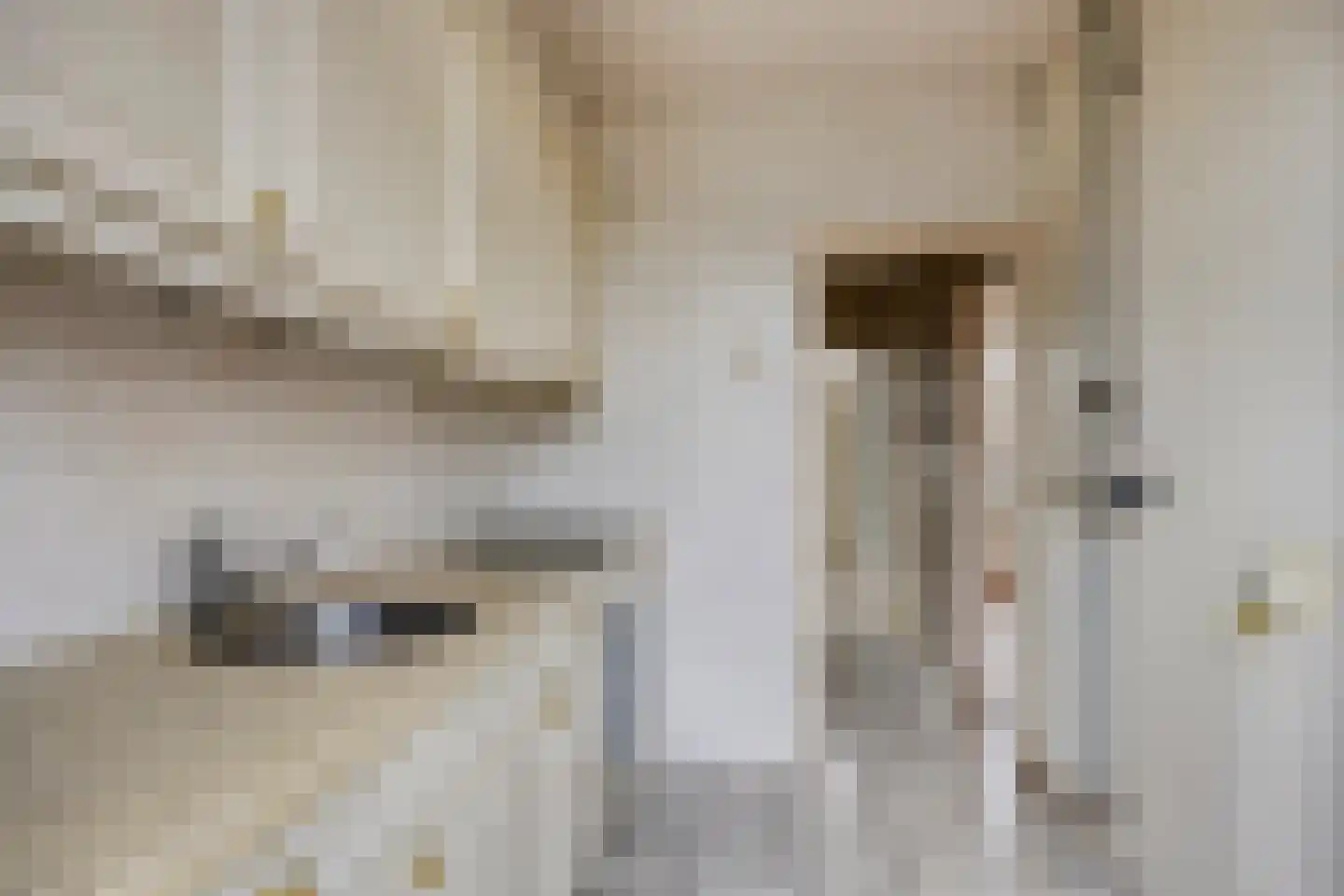 Broekemastraat 55 Nieuw-Vennep thumbnail 12