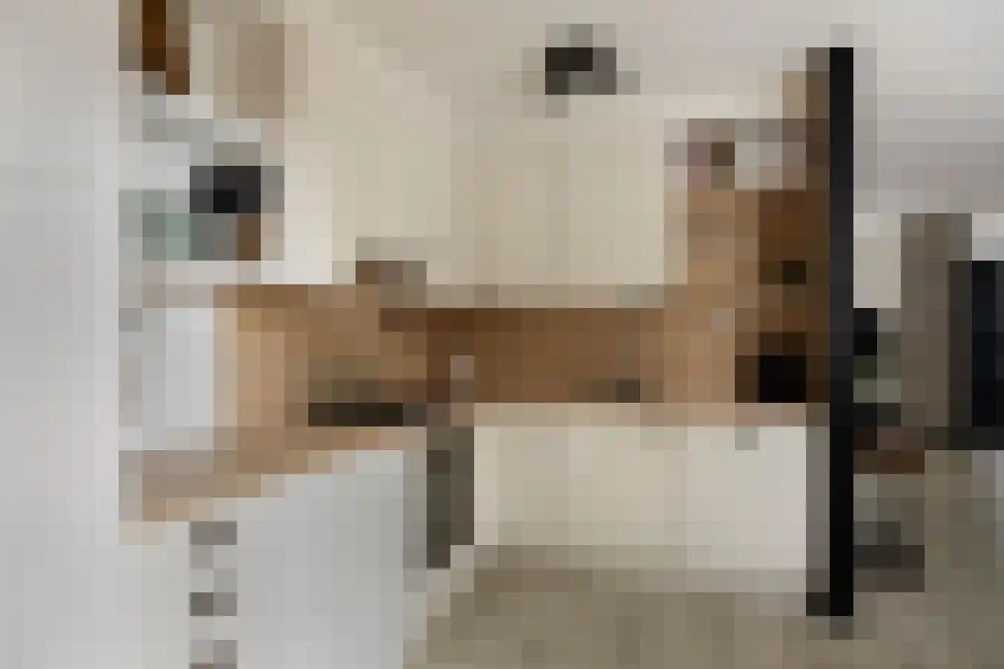 Broekemastraat 56 Diever thumbnail 10