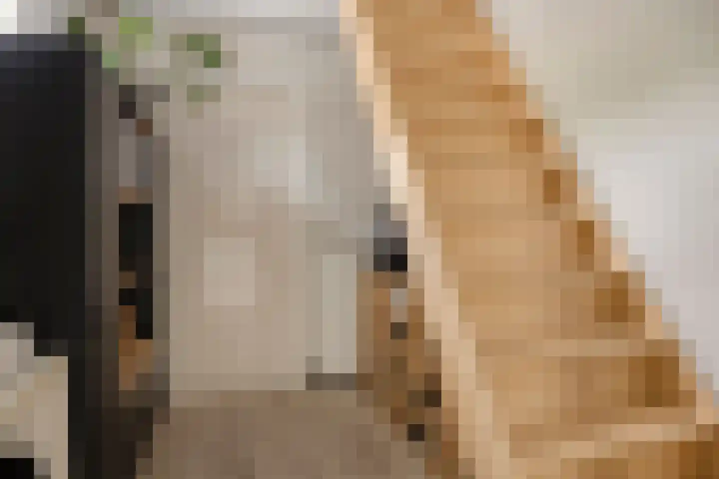 Broekemastraat 56 Diever thumbnail 11