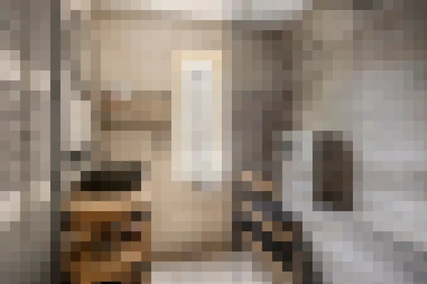Broekemastraat 56 Diever thumbnail 20