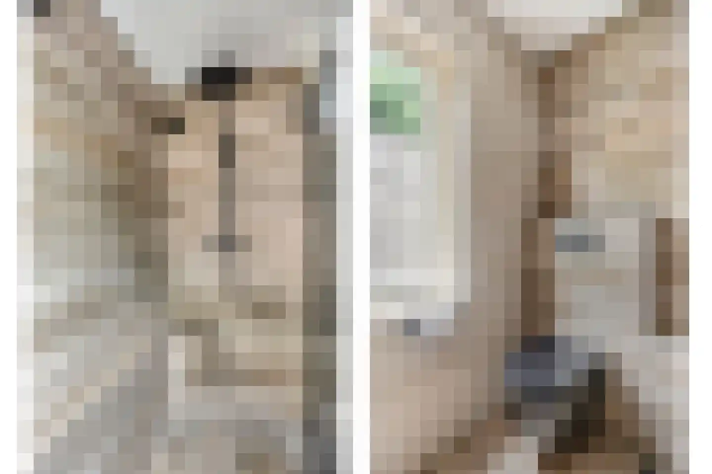 Broekemastraat 56 Diever thumbnail 21