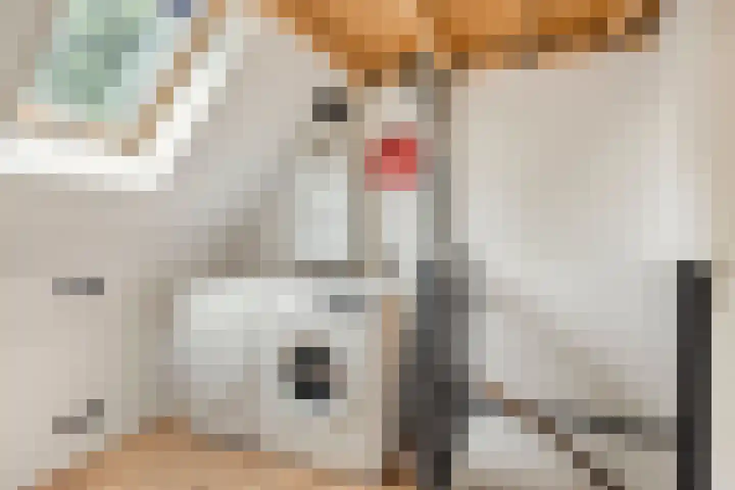 Broekemastraat 56 Diever thumbnail 23