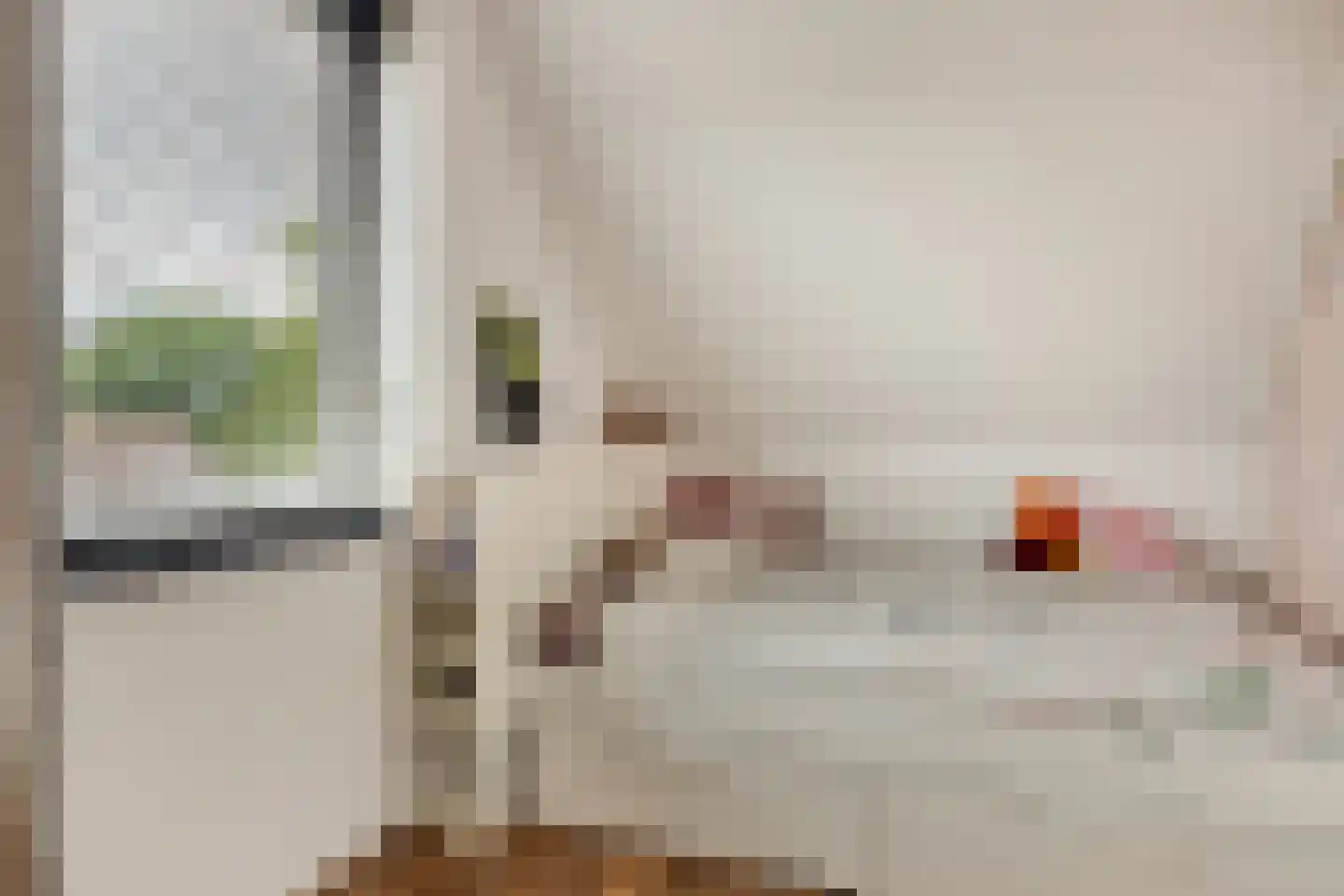 Broekemastraat 56 Diever thumbnail 24