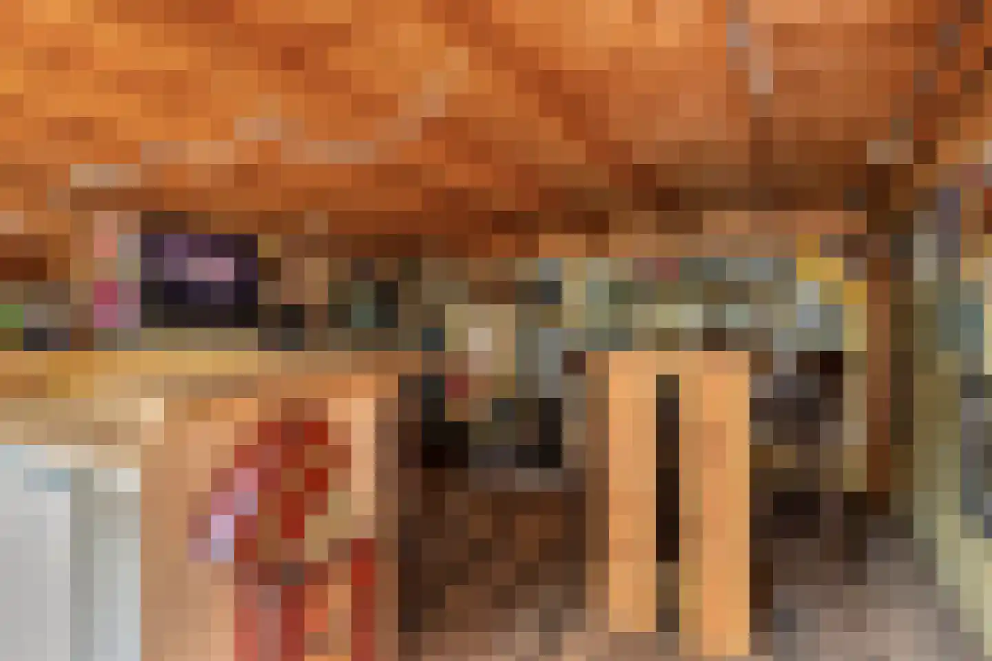Broekemastraat 56 Diever thumbnail 28