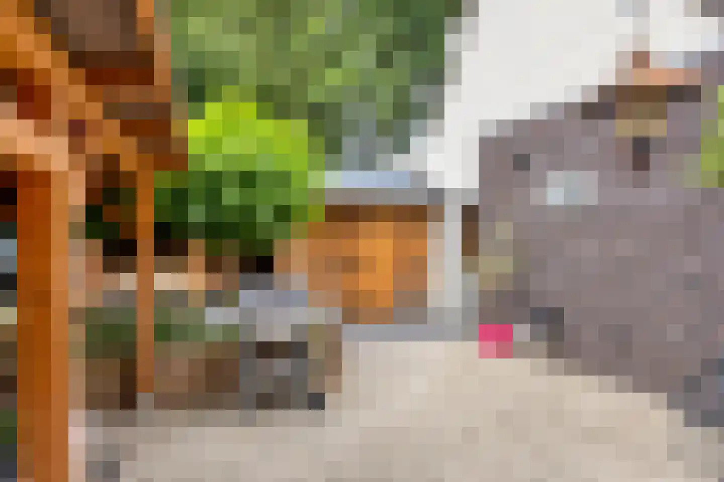 Broekemastraat 56 Diever thumbnail 29