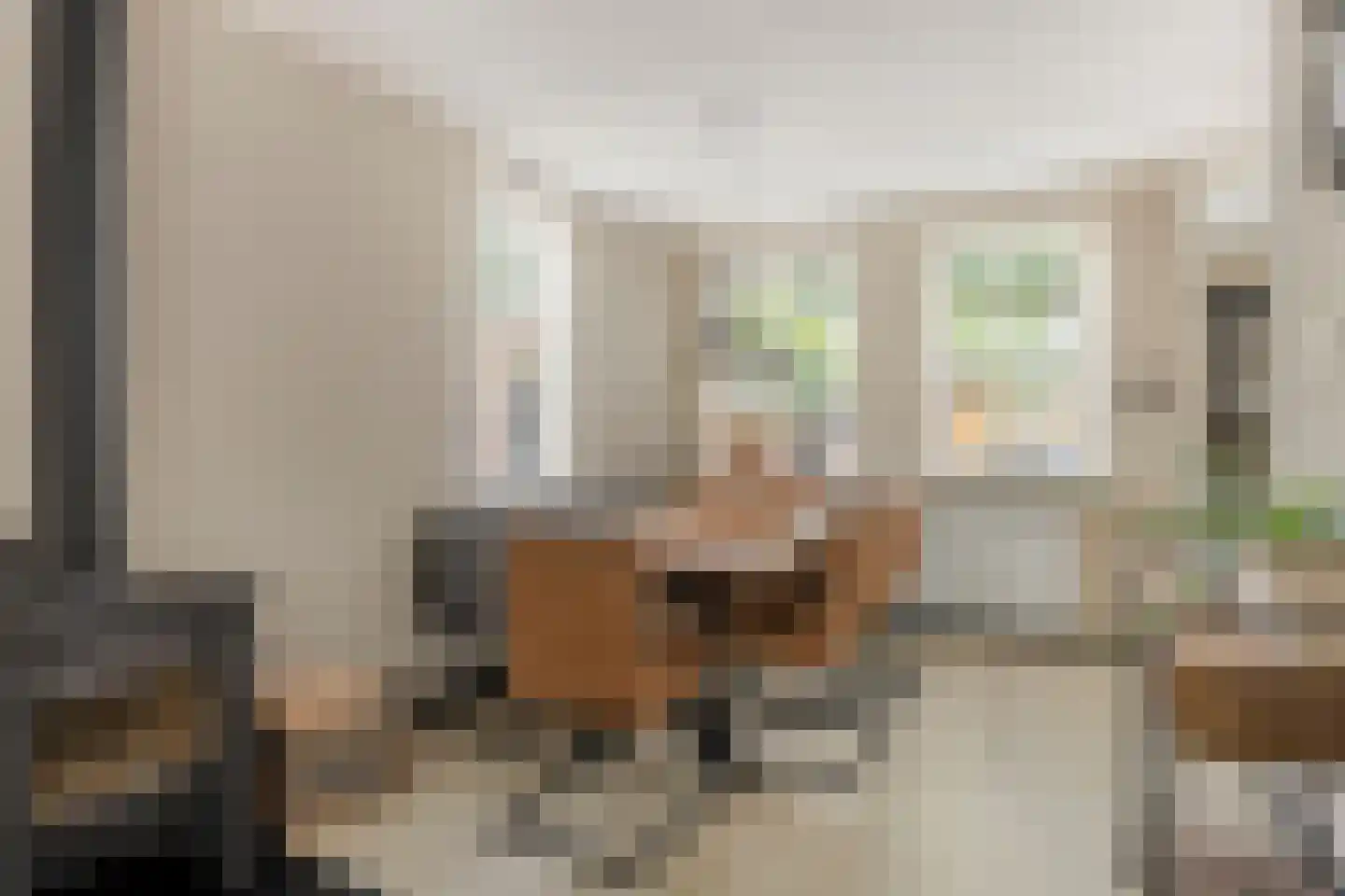 Broekemastraat 56 Diever thumbnail 8