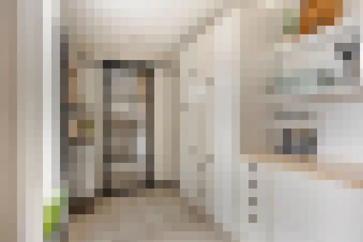 Broekemastraat 56 Diever thumbnail 9