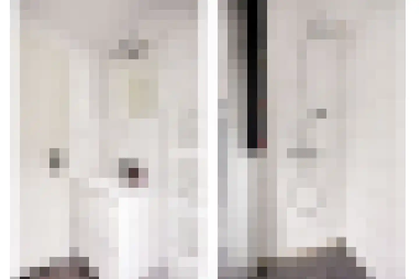 Broekemastraat 60 Diever thumbnail 21