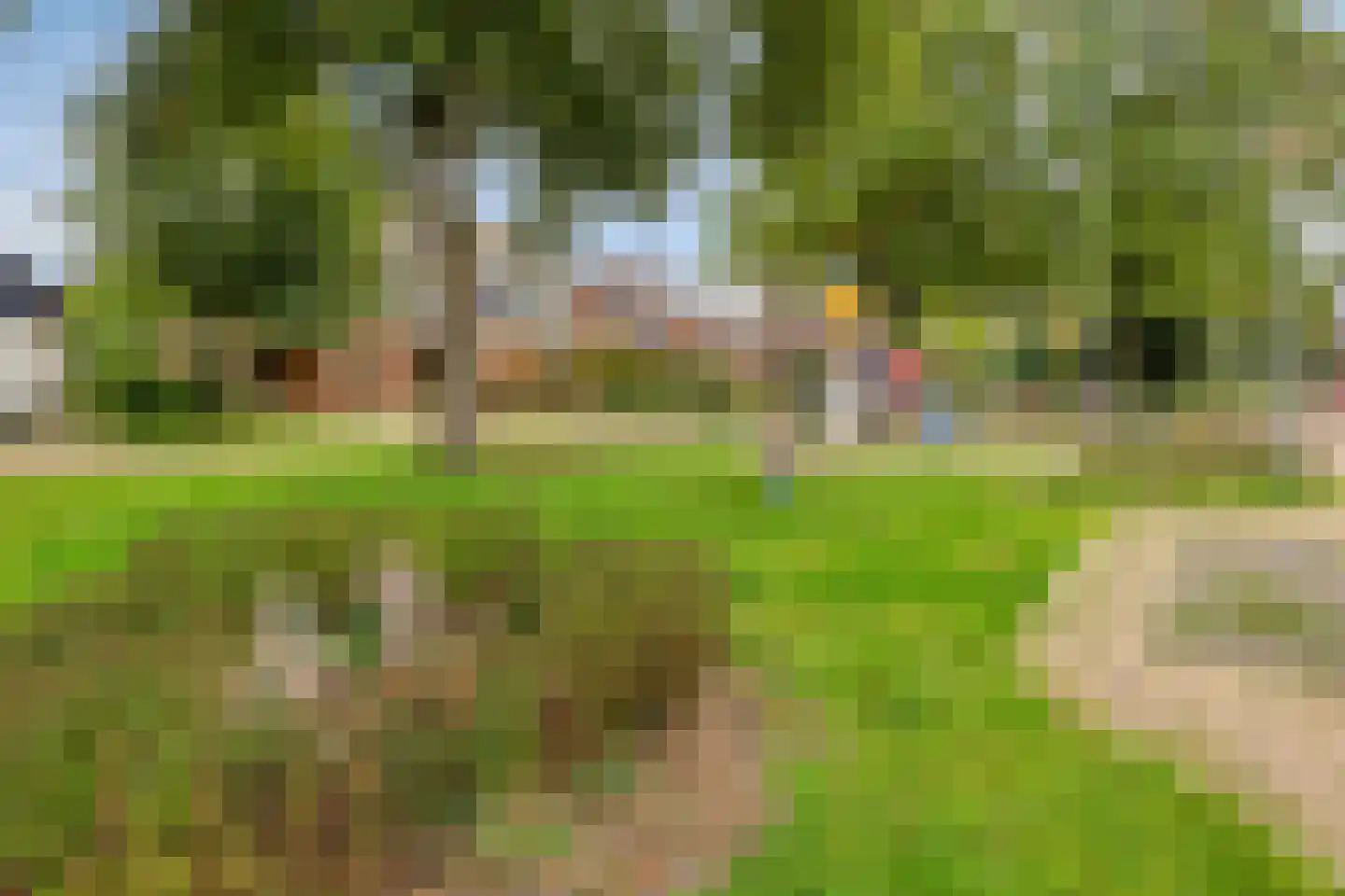 Broekemastraat 60 Diever thumbnail 23