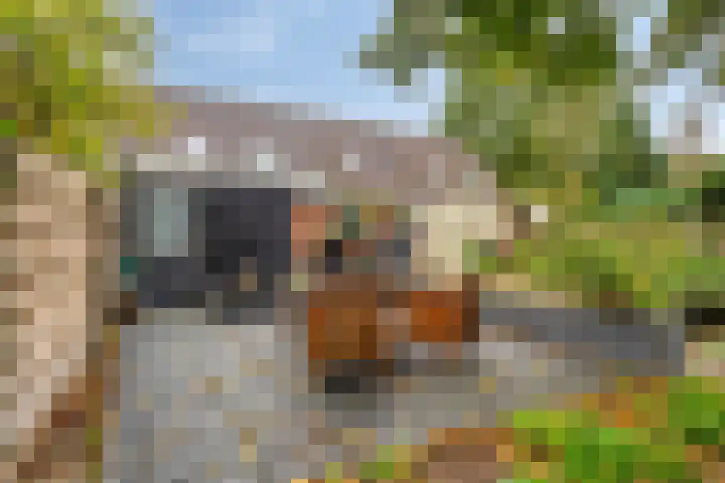 Broekemastraat 60 Diever thumbnail 24