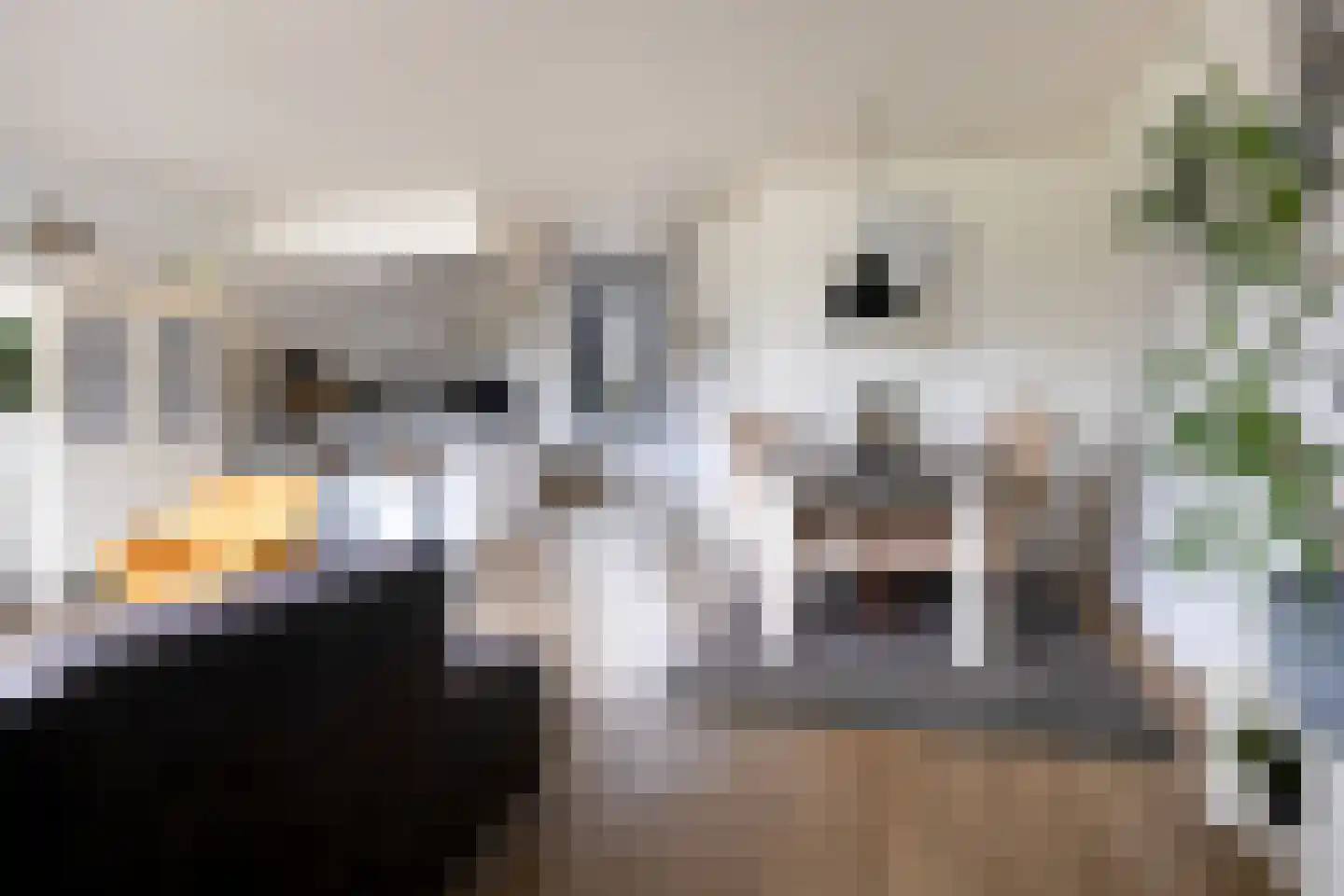 Broekemastraat 60 Diever thumbnail 5