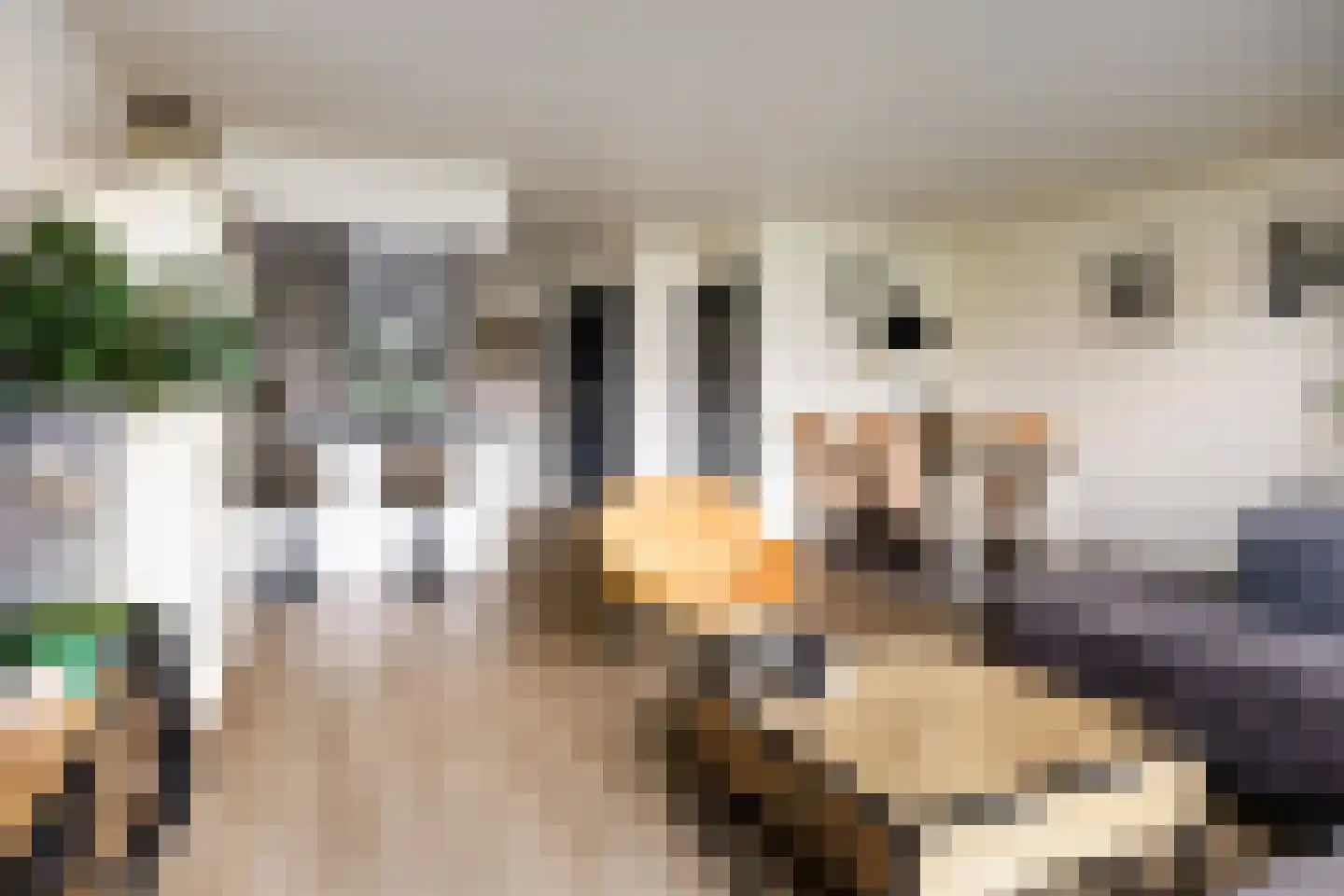 Broekemastraat 60 Diever thumbnail 7