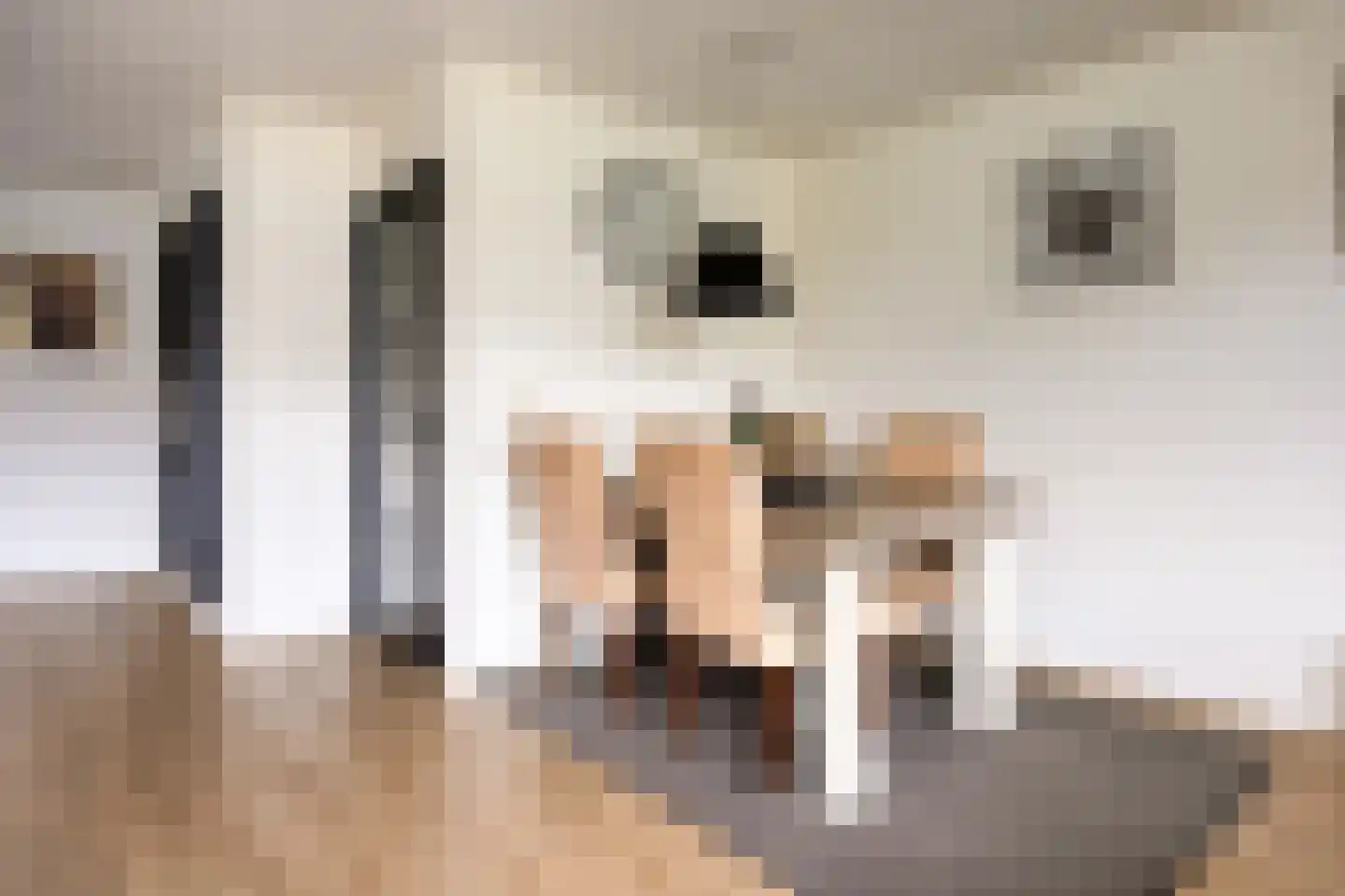 Broekemastraat 60 Diever thumbnail 8