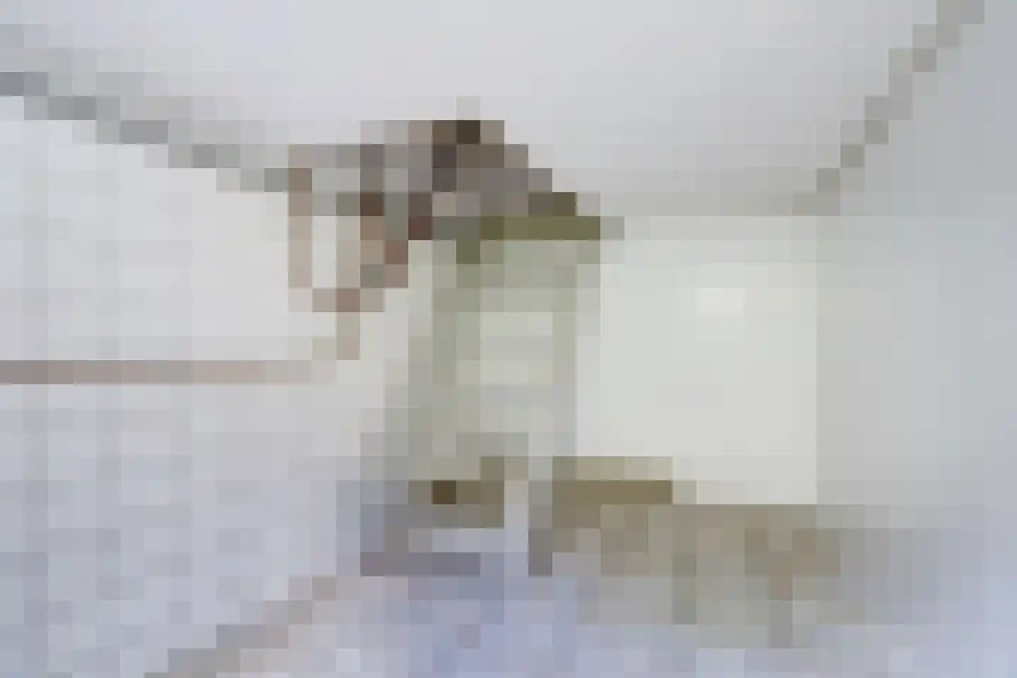 Broekenseind 2 Hoogeloon thumbnail 17