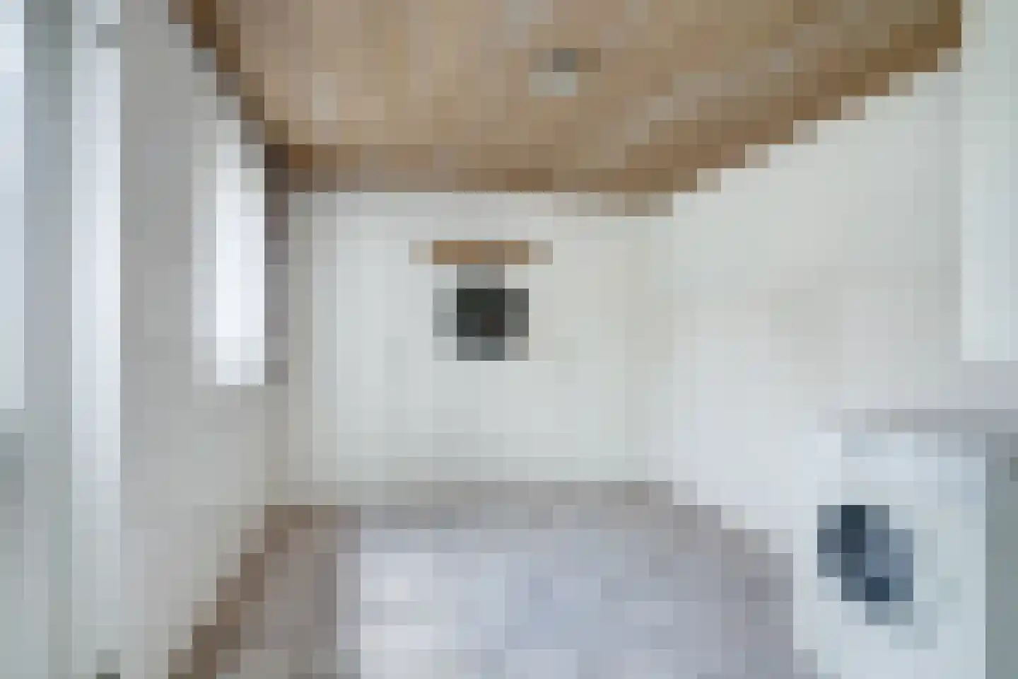 Broekenseind 2 Hoogeloon thumbnail 18