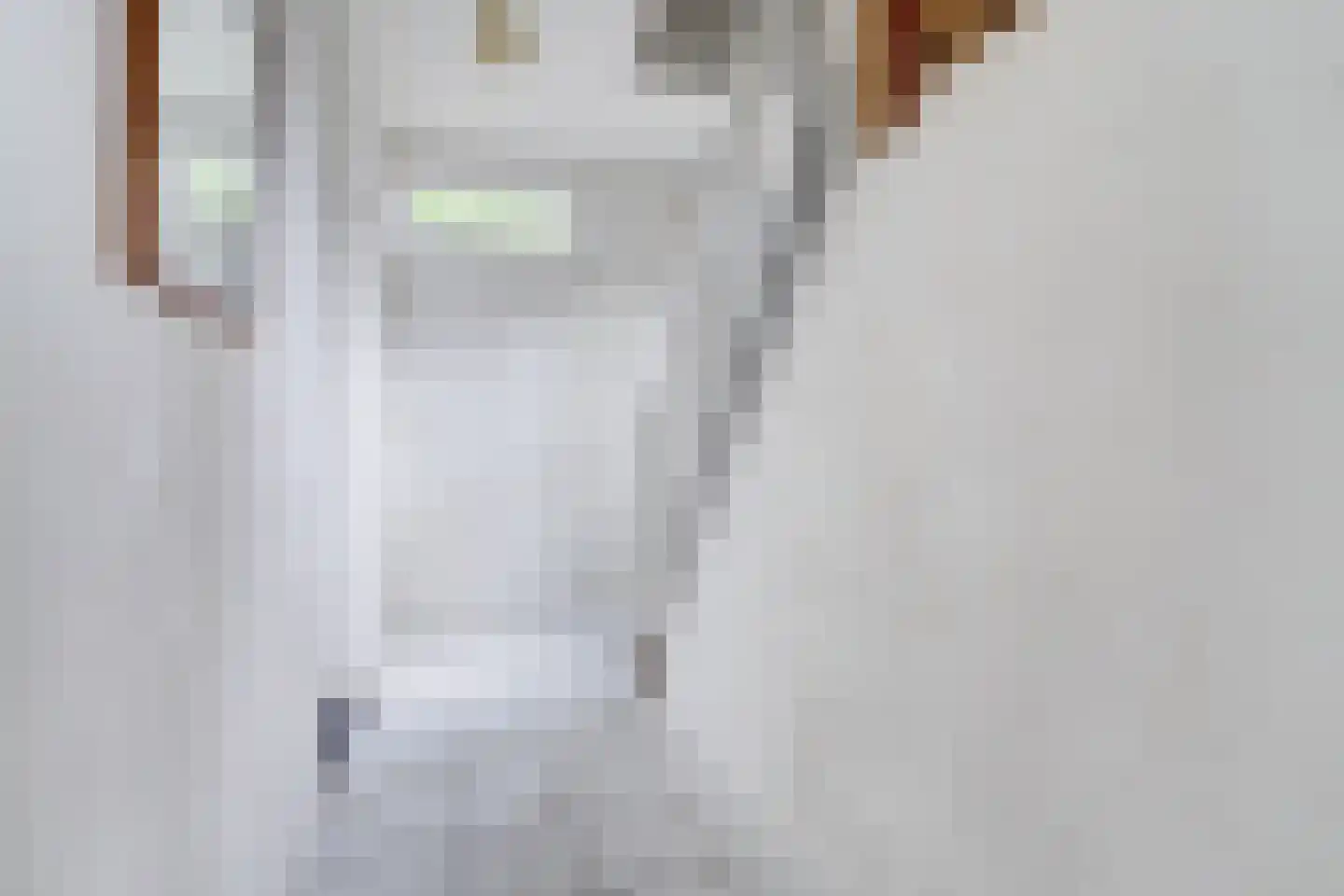 Broekenseind 2 Hoogeloon thumbnail 22