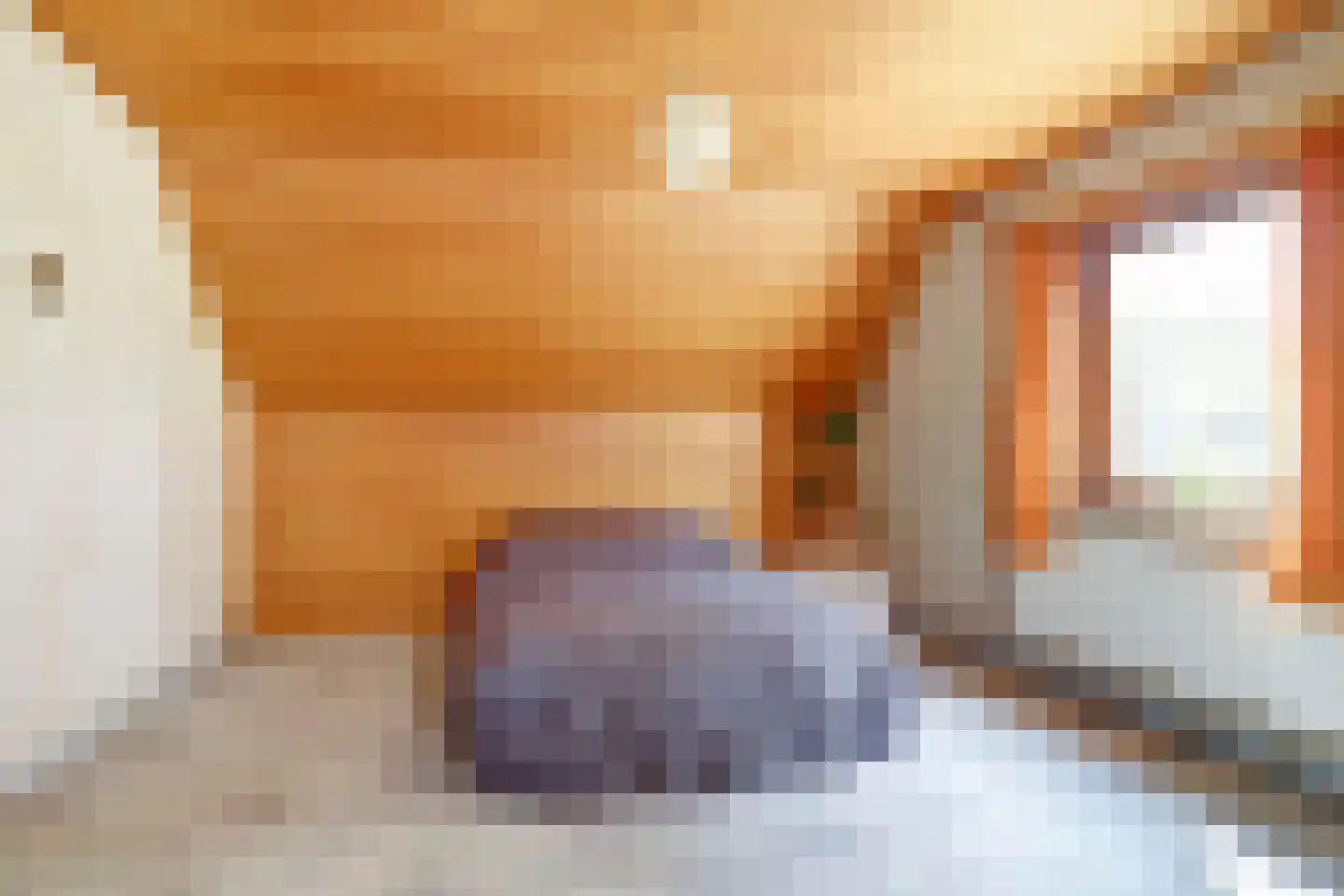 Broekenseind 2 Hoogeloon thumbnail 24