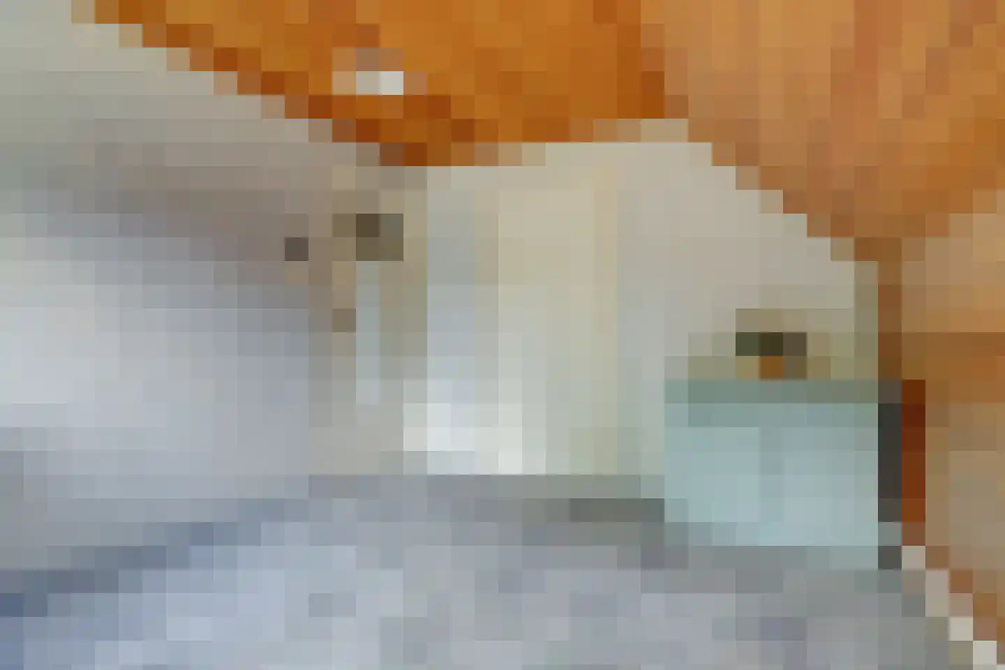 Broekenseind 2 Hoogeloon thumbnail 29