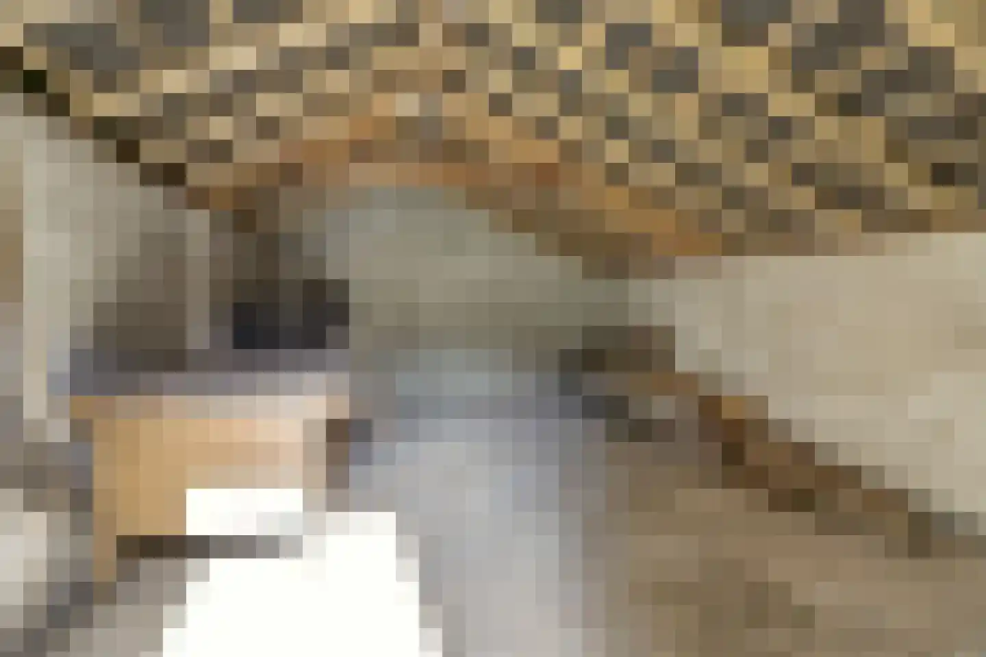 Broekenseind 2 Hoogeloon thumbnail 41