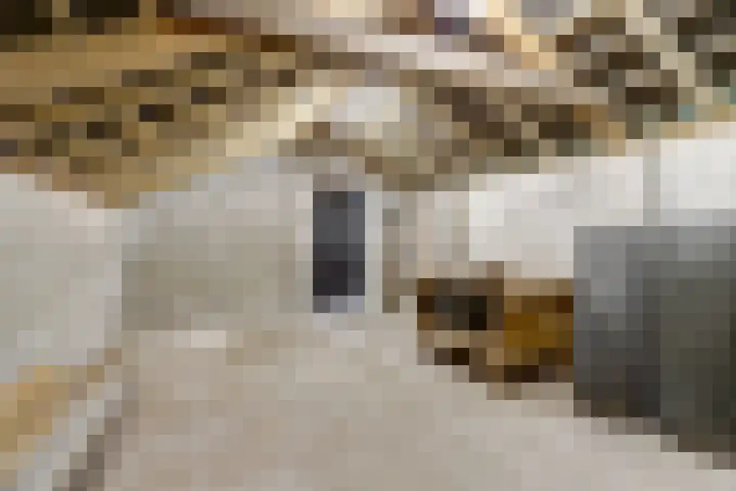 Broekenseind 2 Hoogeloon thumbnail 42