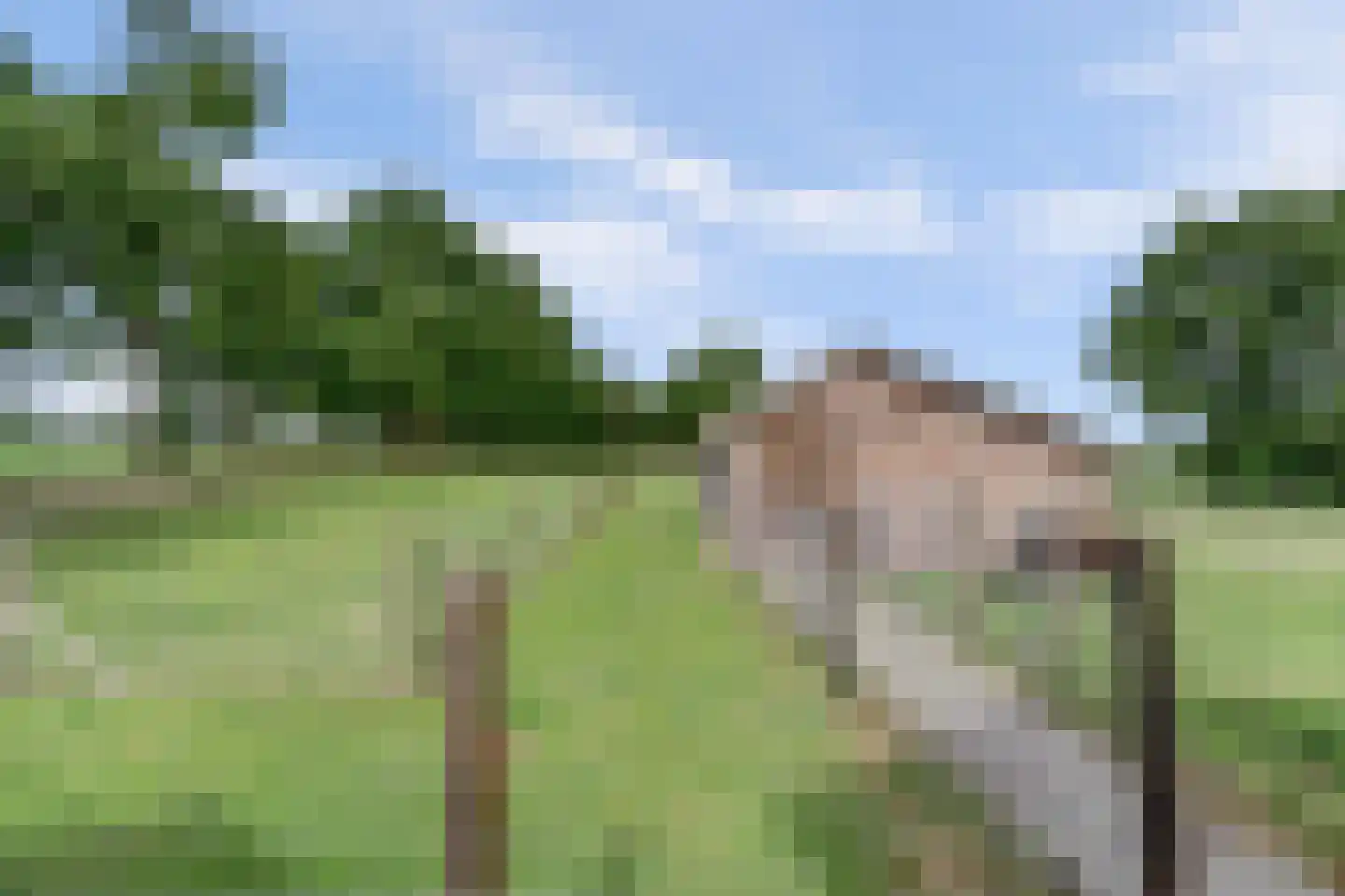 Broekenseind 2 Hoogeloon thumbnail 43