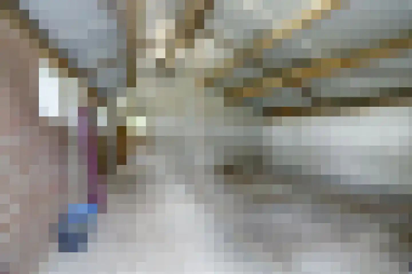 Broekenseind 2 Hoogeloon thumbnail 45