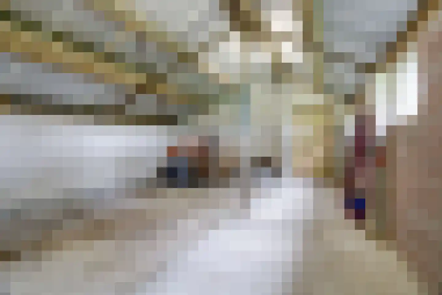 Broekenseind 2 Hoogeloon thumbnail 46