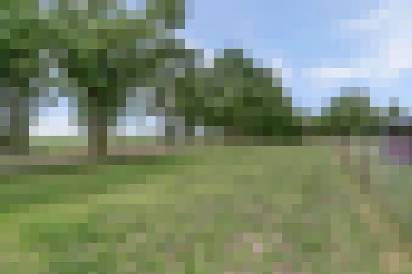 Broekenseind 2 Hoogeloon thumbnail 53