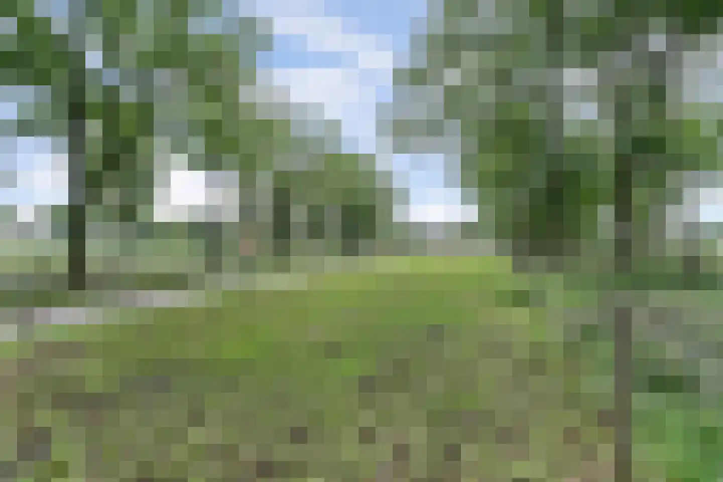 Broekenseind 2 Hoogeloon thumbnail 54