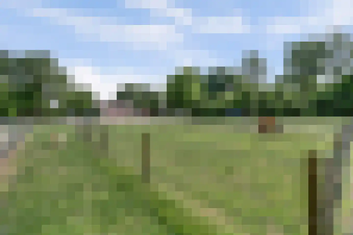 Broekenseind 2 Hoogeloon thumbnail 59