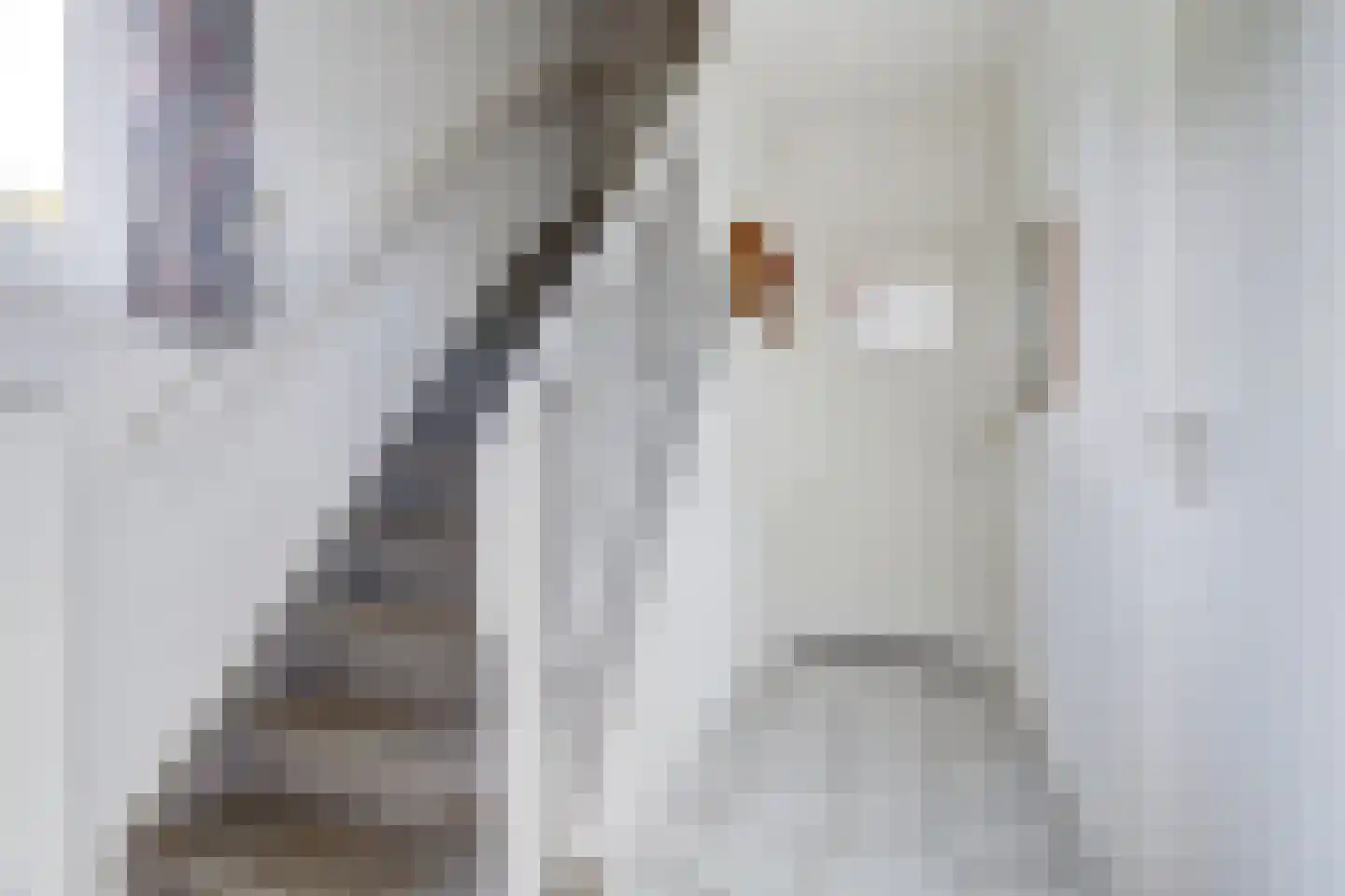 Broekenseind 2 Hoogeloon thumbnail 6