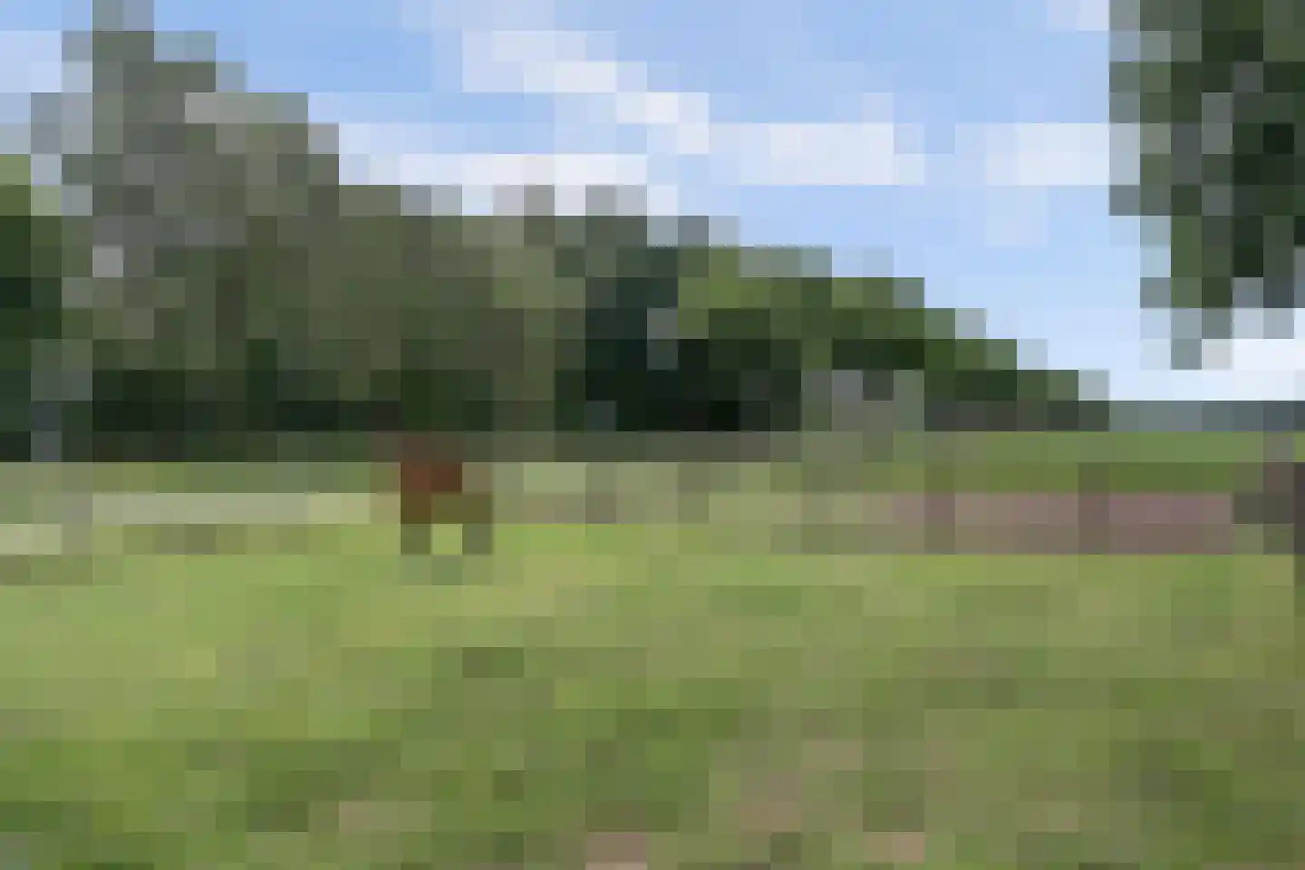 Broekenseind 2 Hoogeloon thumbnail 60