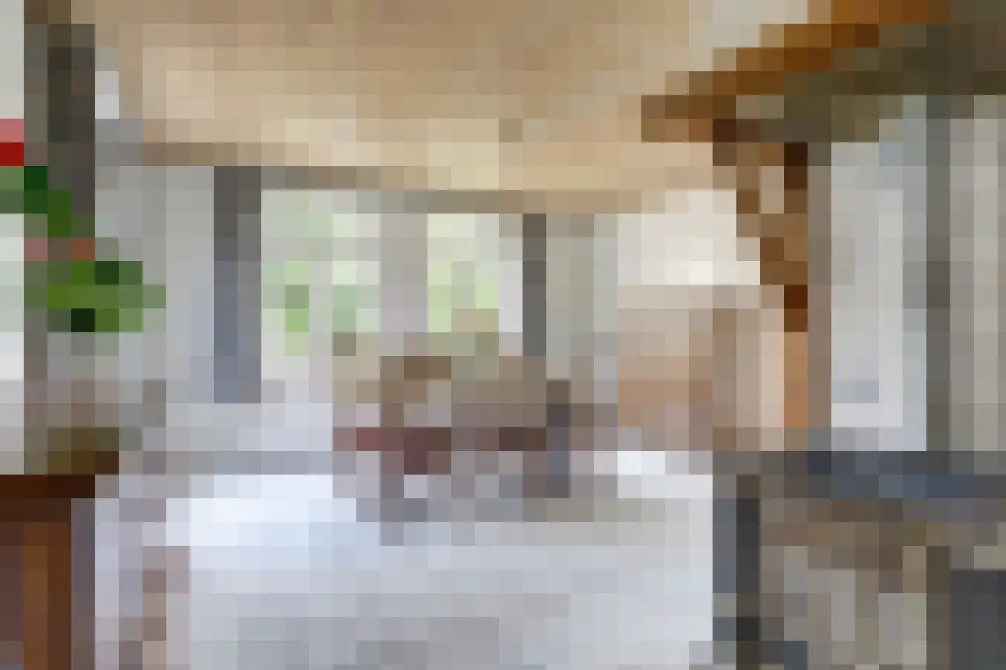Broekenseind 2 Hoogeloon thumbnail 7