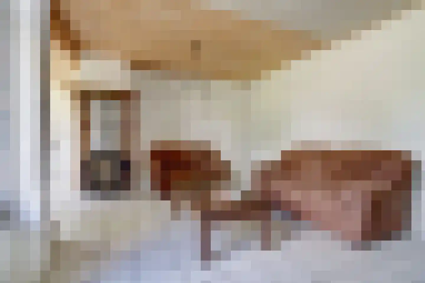Broekenseind 2 Hoogeloon thumbnail 9